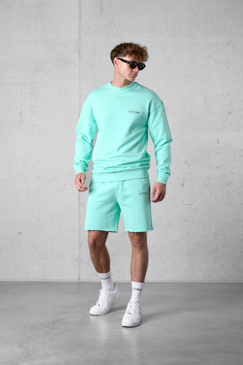 BEACHGREEN DISCREET SWEATSHORTS