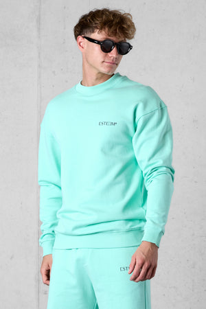 BEACHGREEN DISCREET SWEATER