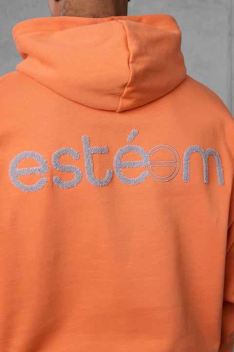DUSTYORANGE SP APPLIQUÉ OVERSIZED HOODIE