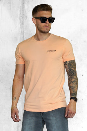 PEACH DISCREET TEE