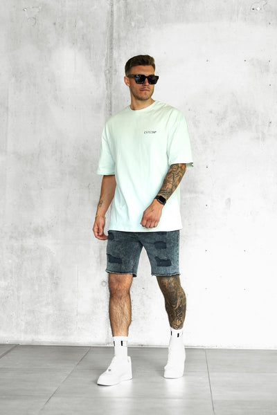 WASHED GREY DESTROYED JEANSSHORTS